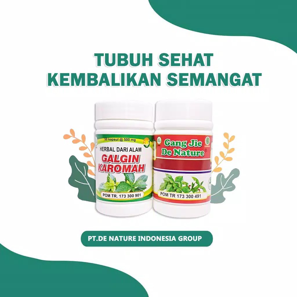 Obat Batu Ginjal - De Nature Indonesia