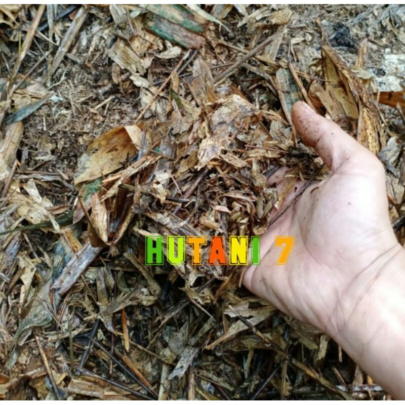 Media Tanam Andam Humus Bambu 1 Kg