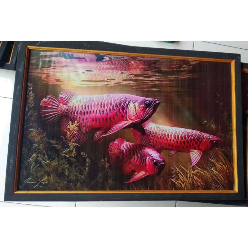 Lukisan murah poster murah hiasan dinding gambar ikan arwana super red plus bingkai ukuran 65×45