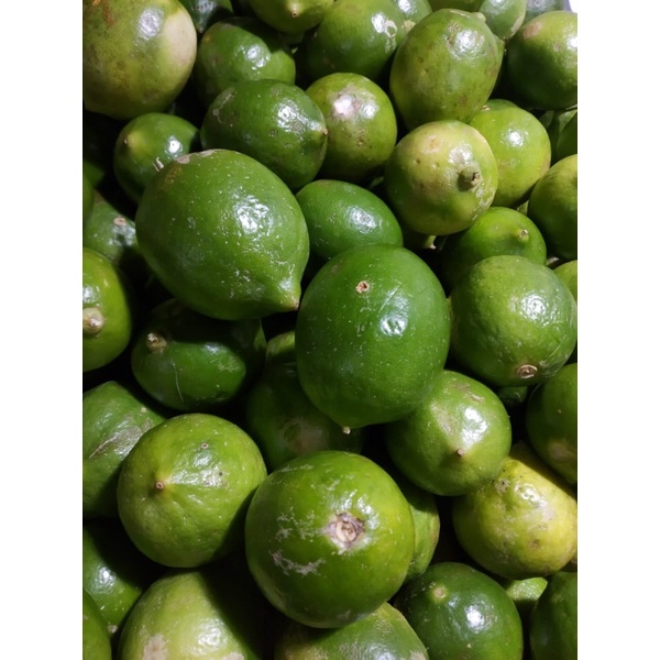 

Jeruk Lemon 1/2 - 1Kg