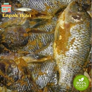 

Ikan Mujair Bumbu Kuning Siap Masak - 1 Kilogram