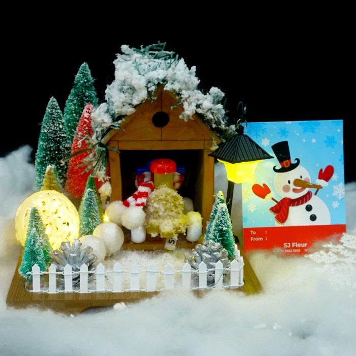 

Paket dekorasi hampers natal christmas parcel 18