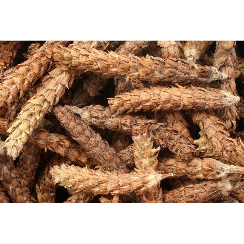 

Spica Prunella vulgaris/ xia qu chao 50gr