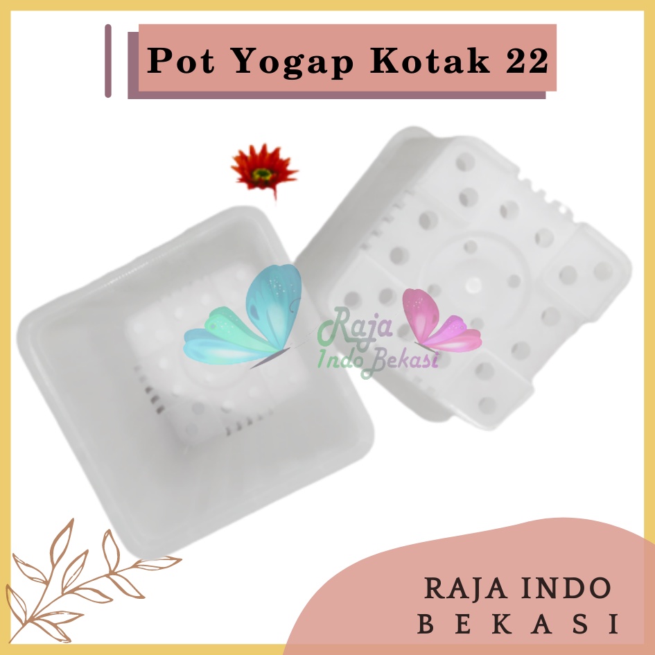 Rajaindobekasi Pot Yogap Kotak 22 Transparan Bening Clear Pot Yogap 10 13 15 17 18 19 25 30 Pot Yogap Lusinan Pot Kotak Panjang Tinggi Pot Segi Empat Hias Panjang Plastik