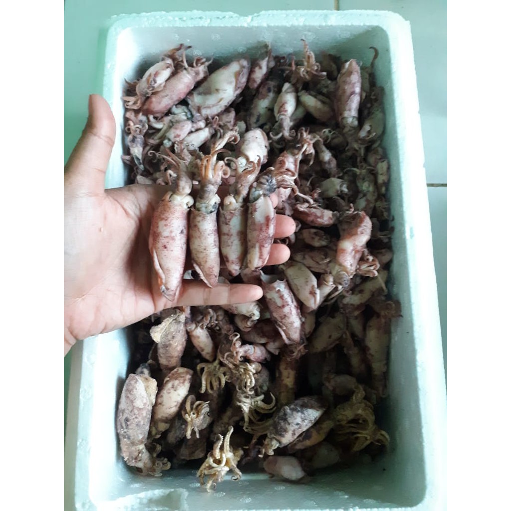 

Cumi Asin Telur 250 gram