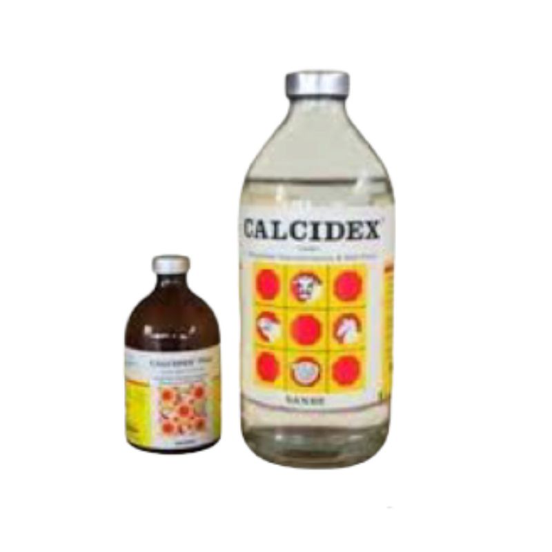 Sanbe Farma / Calcidex 500 ml mengatasi Sapi Ambruk &amp; Hipocalcemia Pada Ternak