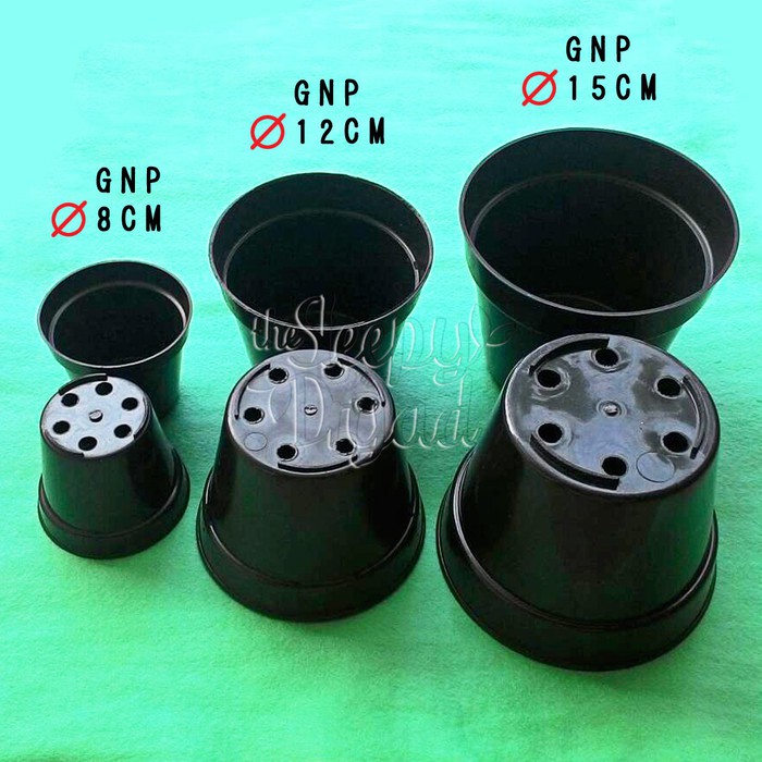 Pot Plastik Hitam 8 cm Limited