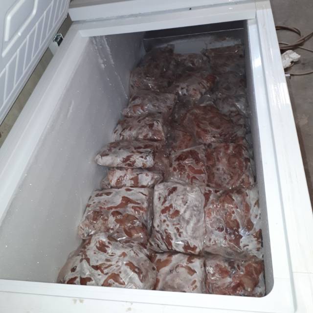 

Puyuh Frozen Jantan A (JA)