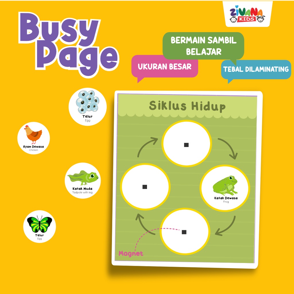 Zivana Kids - Busy Page Siklus Hidup Mainan Montessori Edukasi Board Game Anak - Activity Page