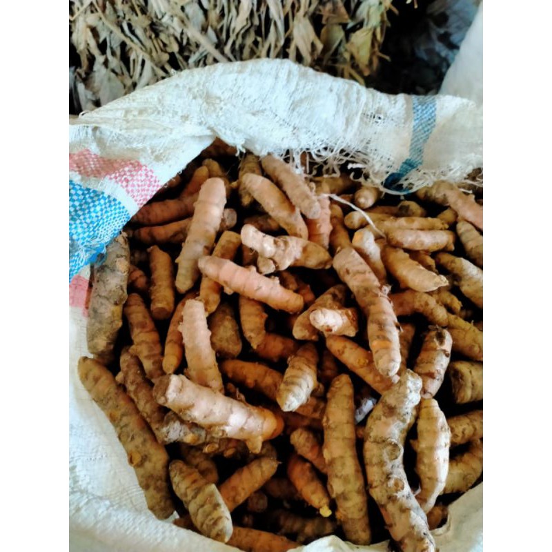 

Kunyit Basah 500gr