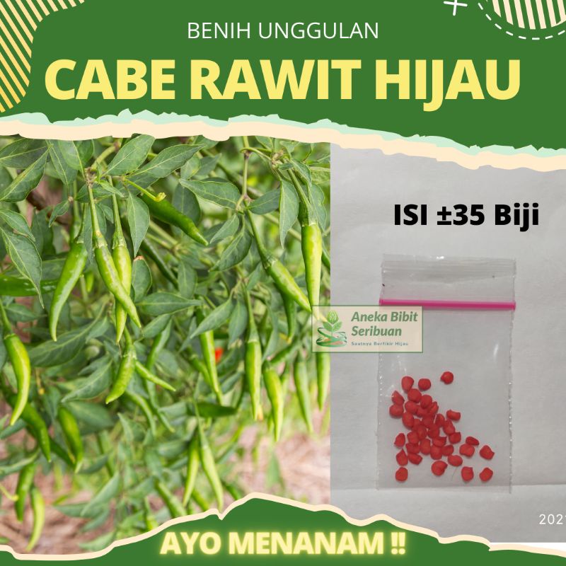 Benih cabe rawit hijau GENIE