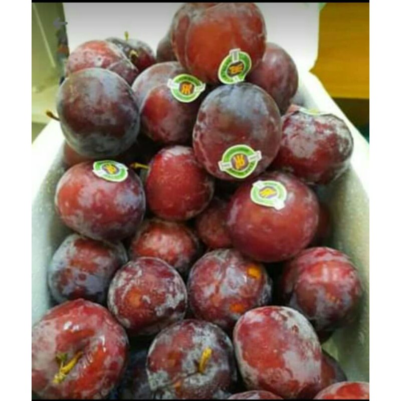 

Buah plum fresh 1 kg
