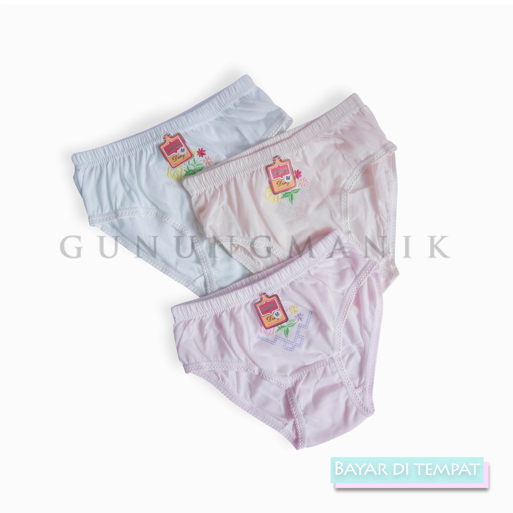 CELANA DALAM WANITA DINY 6 PCS JUMBO CD DEWASA TERMURAH