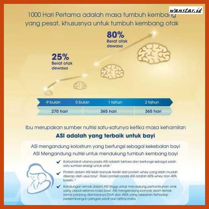 

NUTRISI-BUMIL- ENFAMAMA A+ COKELAT 400 GR - SUSU IBU HAMIL DAN MENYUSUI - COKELAT -BUMIL-SEHAD.
