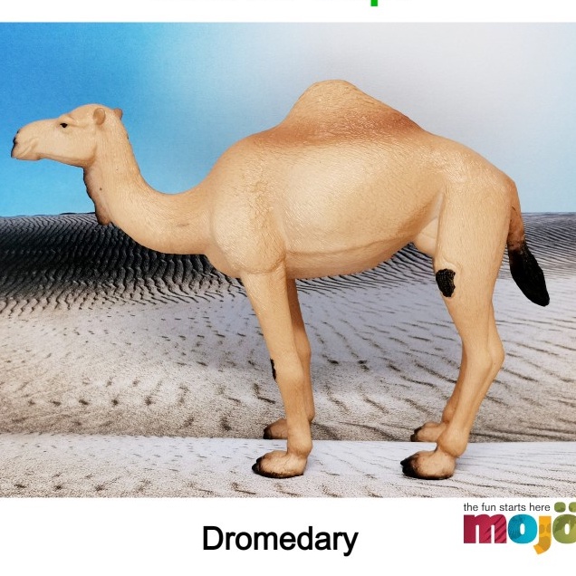 Dromedary / Arabian Camel Animal Figure / Unta Punuk Satu by MOJO