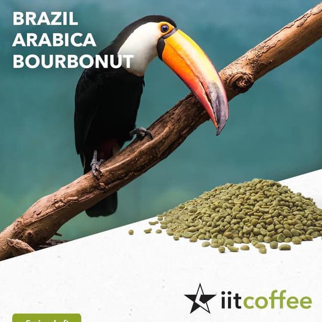 

Arabica Green Beans - Brazil Bourbonut Natural 1 Kg Kode 317