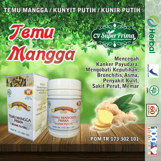 HERBAL EXTRAK TEMU MANGGA .KUNIR PUTIH MEMBANTU ATASI KANKER  PAYUDARA .ASMA. SAKIT PERUT