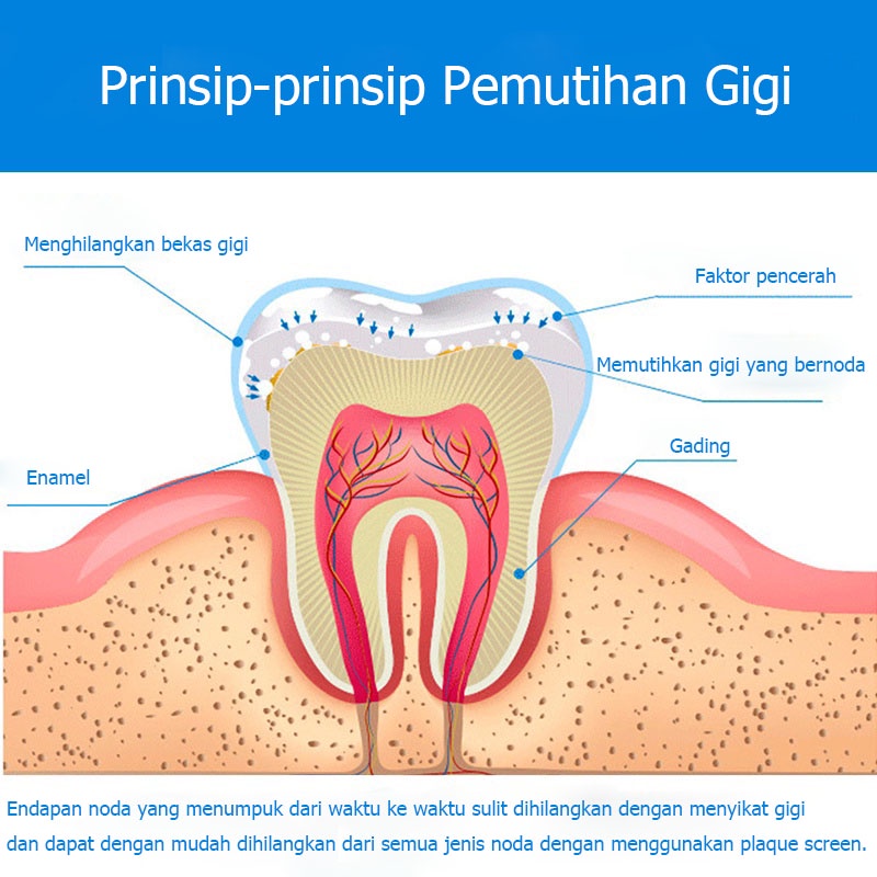 Pemutih gigi pembersih gigi kuning alat pemutih gigi 50g nafas segar  perawatan gusi  baking soda powder untuk menghilangkan gigi kuning dan memutihkan gigi