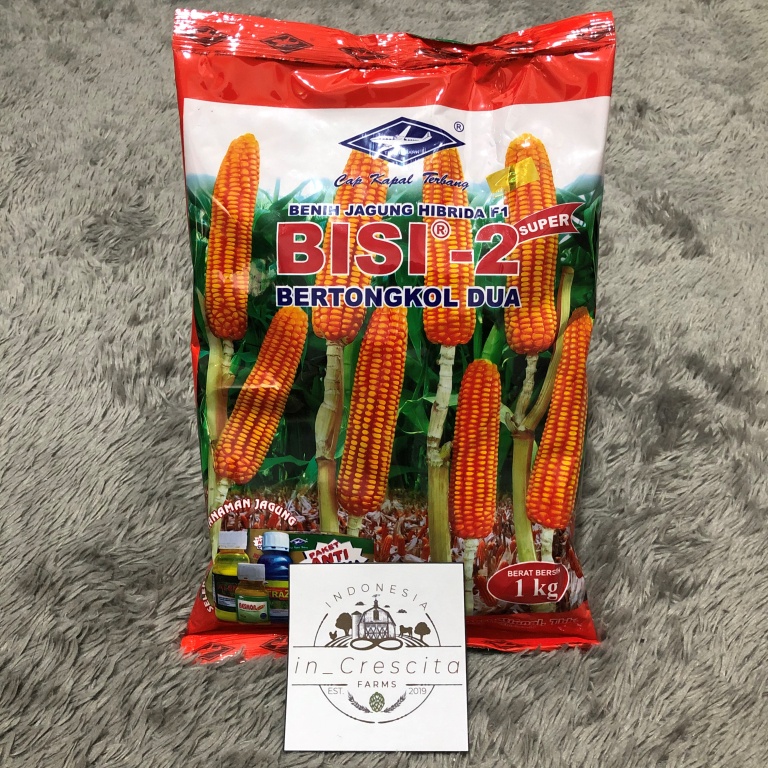 BENIH/BIBIT JAGUNG HIBRIDA F1 – BISI 2 SUPER – CAP KAPAL TERBANG – 1 KG