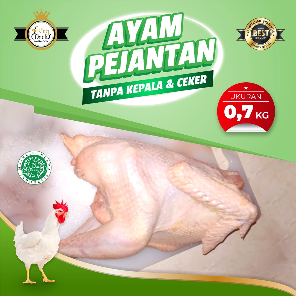 

AYAM PEJANTAN 0.7 KG TANPA KEPALA KAKI