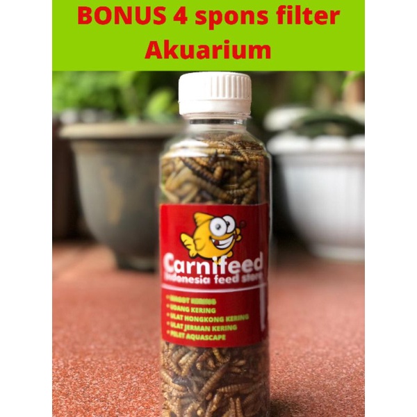 magot bsf kering ukuran jumbo 1 liter ,untuk Cana maru dan ikan predator