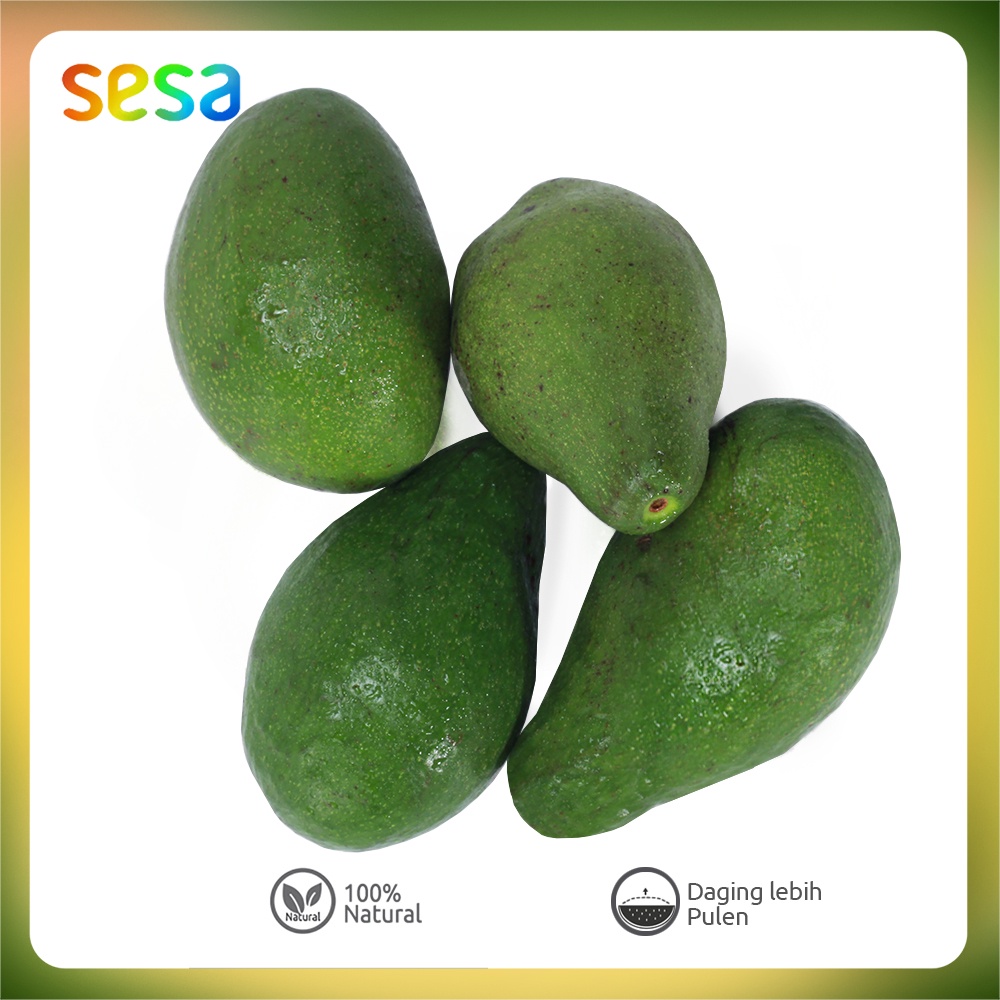 Buah Alpukat Mentega Super 1 kg