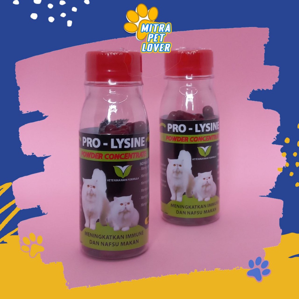 VITAMIN IMUN KUCING - PROLYSINE CAT 40 CAPS ORIGINAL - KAPSUL SUPLEMEN UNTUK IMUN IMMUNE CAT KITTEN MENAMBAH NAFSU MAKAN PRO LYSINE PET ANIMAL HEALTHCARE AND VETERINARY TAMASINDO OBAT KESEHATAN DAN VITAMIN TERNAK HEWAN BINATANG PELIHARAAN MITRAPETLOVER