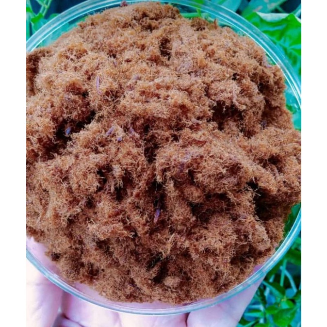 

Abon ayam 100 gr enak murah original