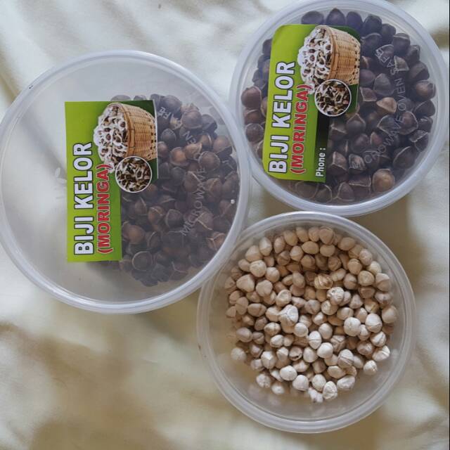 

Biji kelor hitam kering