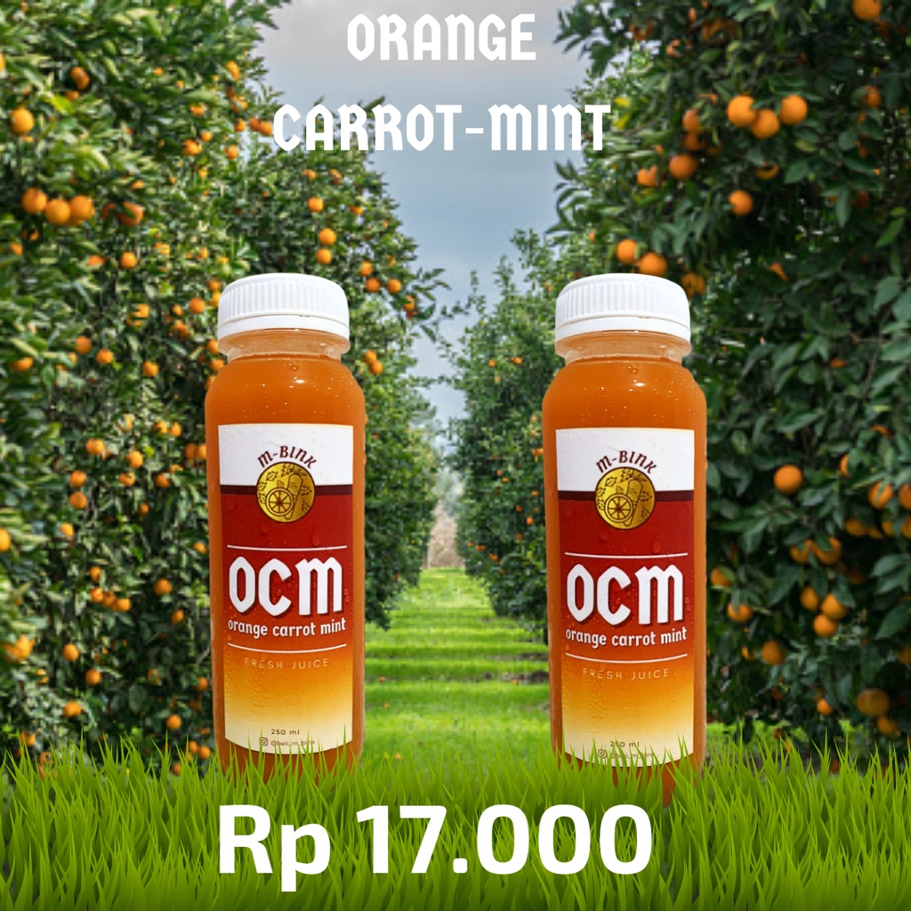 

orange carrot mint juice