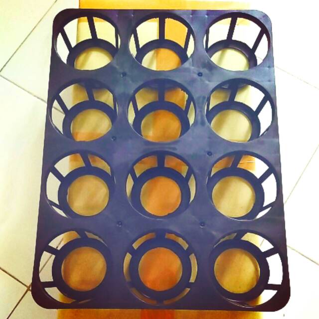 TRAY Orchid/ Anggrek 12