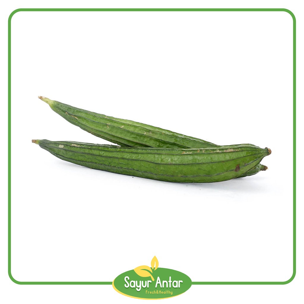 

Oyong 500 gr | Sayur.Antar | Free Ongkir Bandung Cimahi
