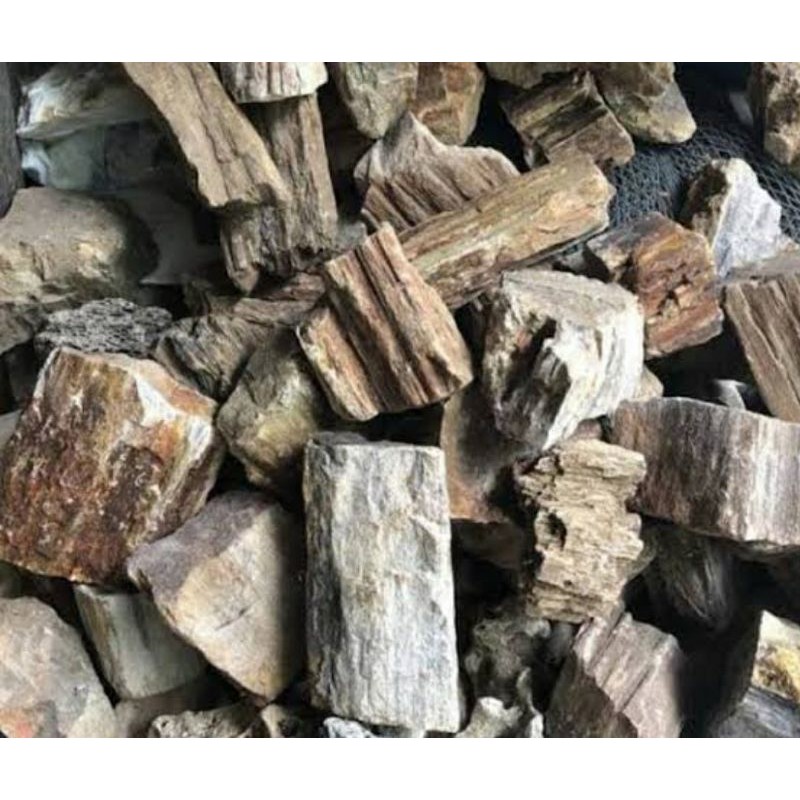 batu fosil kayu aquascape