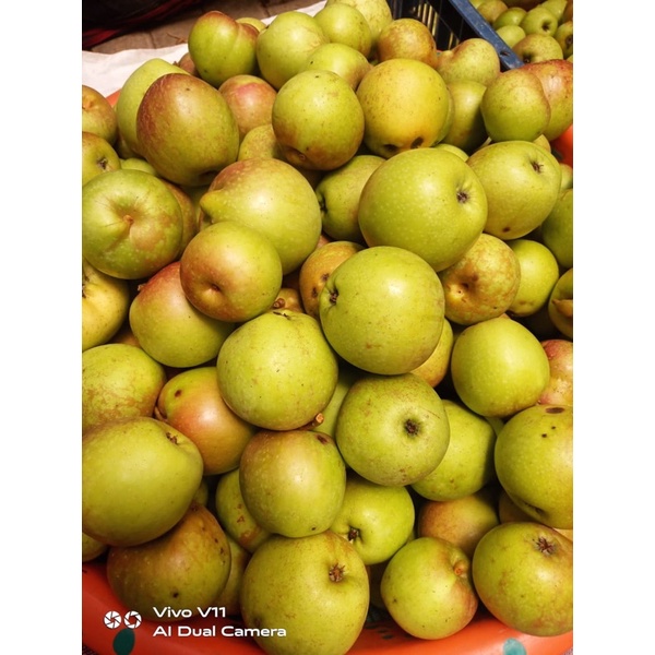 

Apel manalagi 2kg | Apel asli kota batu | Fresh karena metik di kebun sendiri