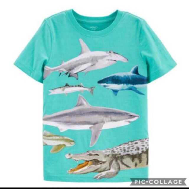 Carters boys tee//kaos anak laki laki carters