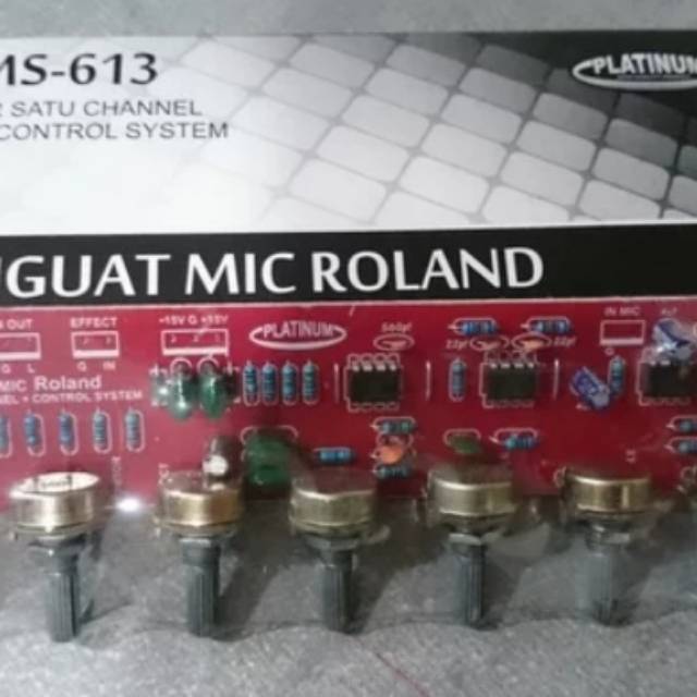 DMS-613 PENGUAT MIC ROLAND