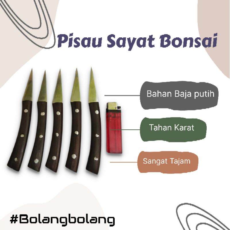 Pisau sayat bonsai setajam silet bahan baja putih kw 1