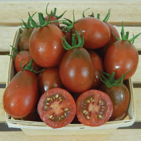 Benih Bibit Biji - Tomato Black Plum Tomat Hitam Seeds - IMPORT