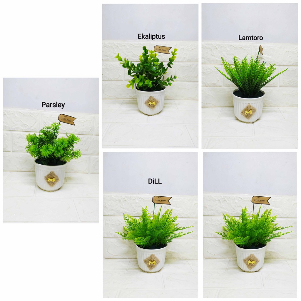 Little Herbs - Pajangan Cantik My little Herbs Pot salur kecil