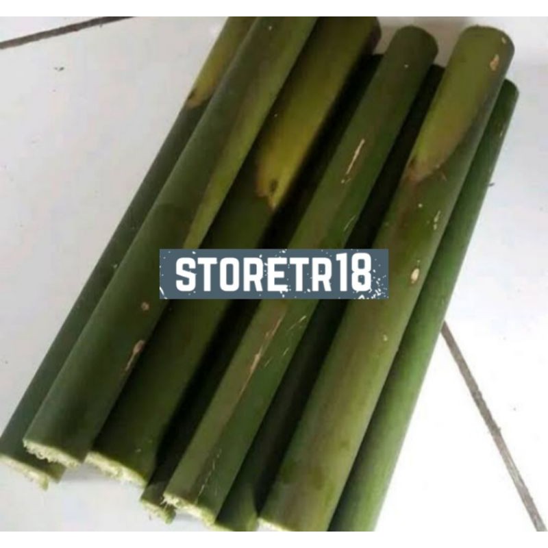 

Pohon Batang Kecombrang atau Honje 1 kg