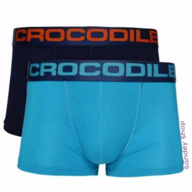 Boxer Crocodile 006