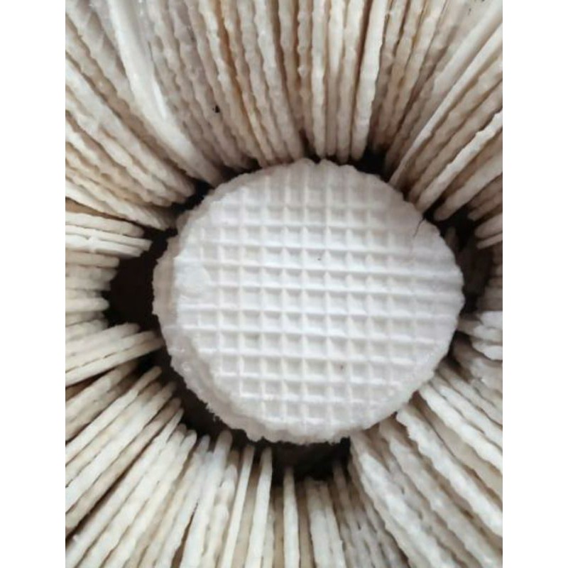 

Keripik Simping kencur 250gram