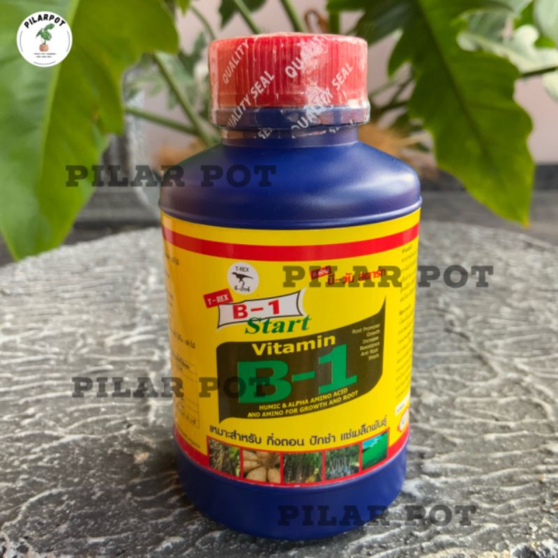 pupuk vitamin B1 THAILAND T REX 100ml original - anti stress tanaman