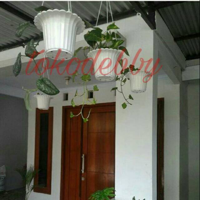 Pot Tanaman dan Bunga Plastik Gantung Mawar Putih Shopee Pot Tanaman dan Bunga Plastik Gantung Mawar Putih Shopee
