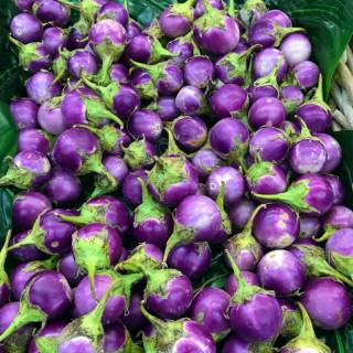 50 Biji - Benih Terong Lalap ungu PURPLE THAI | Shopee