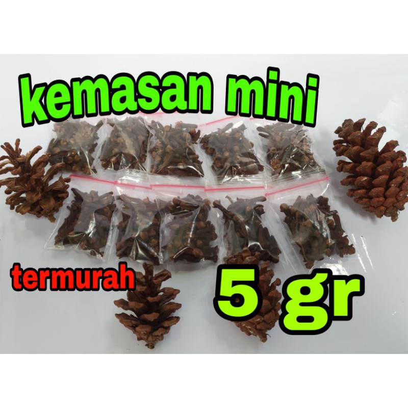 

CENGKEH kering kemasan mini murah | herbal alami