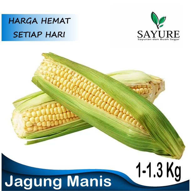 

JAGUNG MANIS 1KG