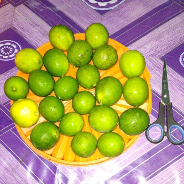 

Jeruk nipis