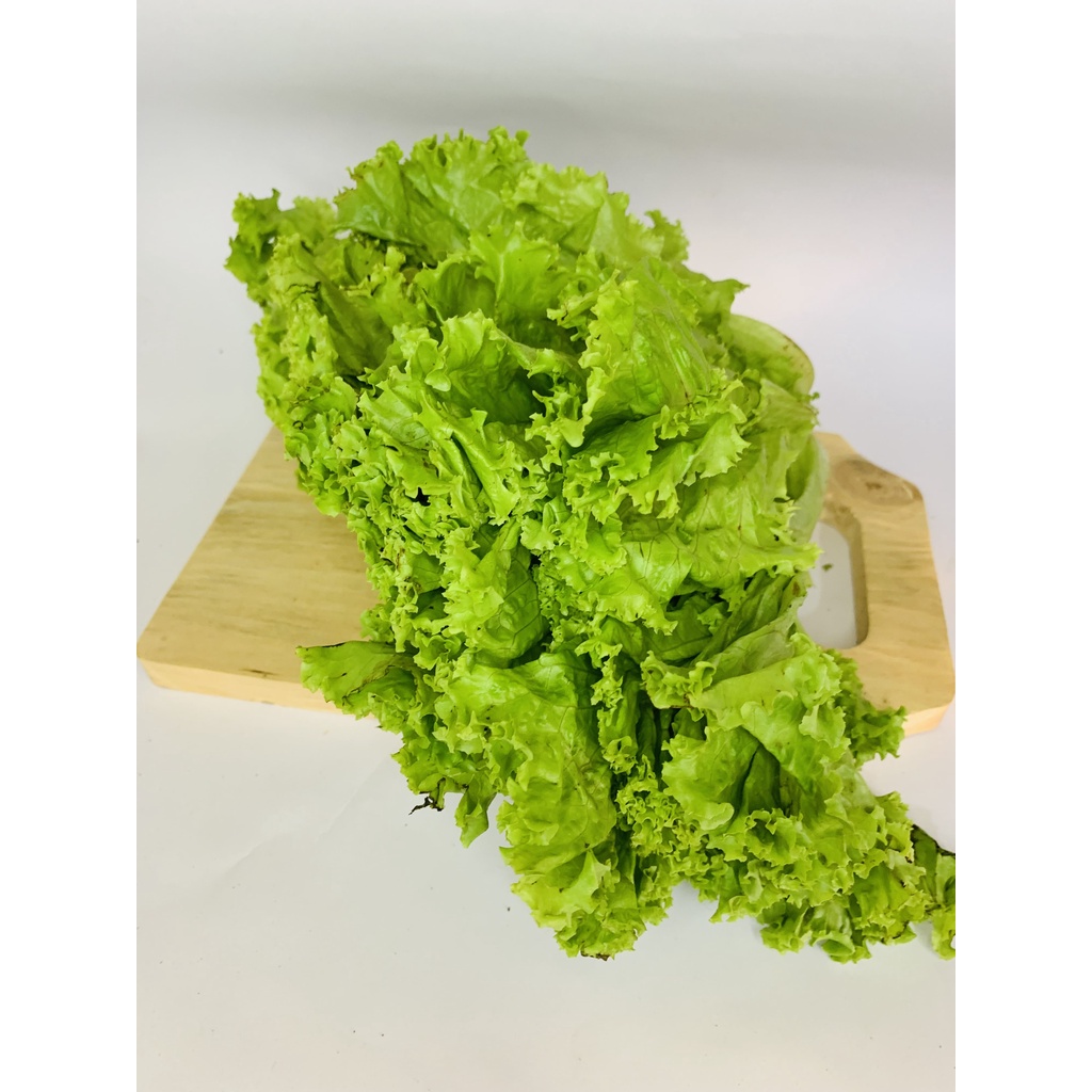 

[DAPUR EXPRESS] Selada Hijau