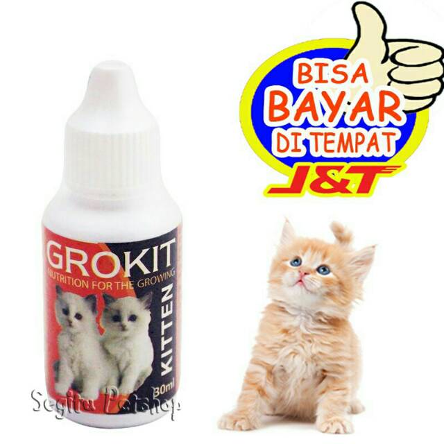 Vitamin Anak Kucing Kecil Kitten Grokit